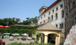 POLTURIZM